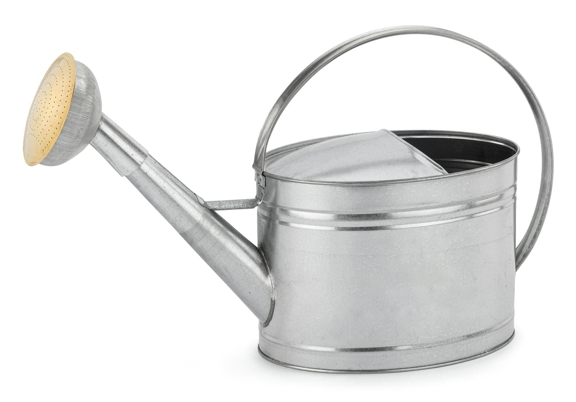 Gießkanne verzinkt, 10 l